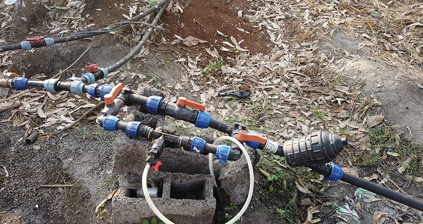 Installation d'un réseau de goutte à goutte sur une exploitation