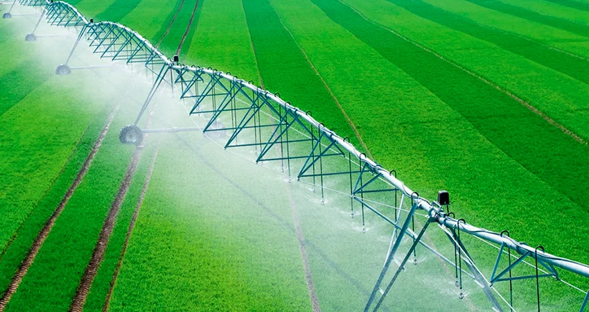 Rampe de pivot d'irrigation arrosant une culture